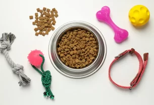 acessório pet