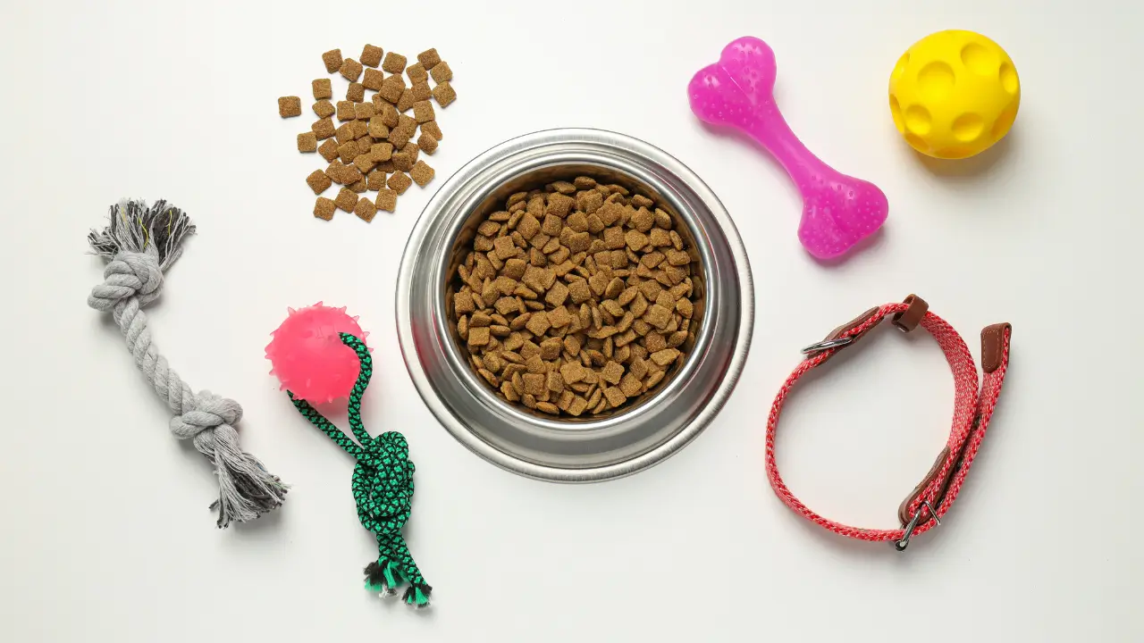 acessório pet