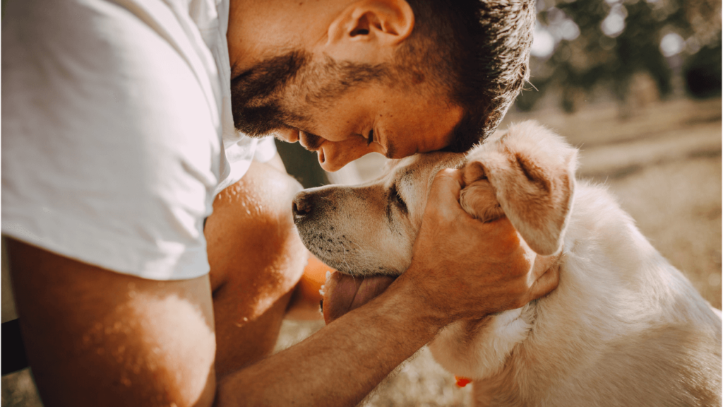 pets