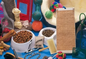 acessórios pet