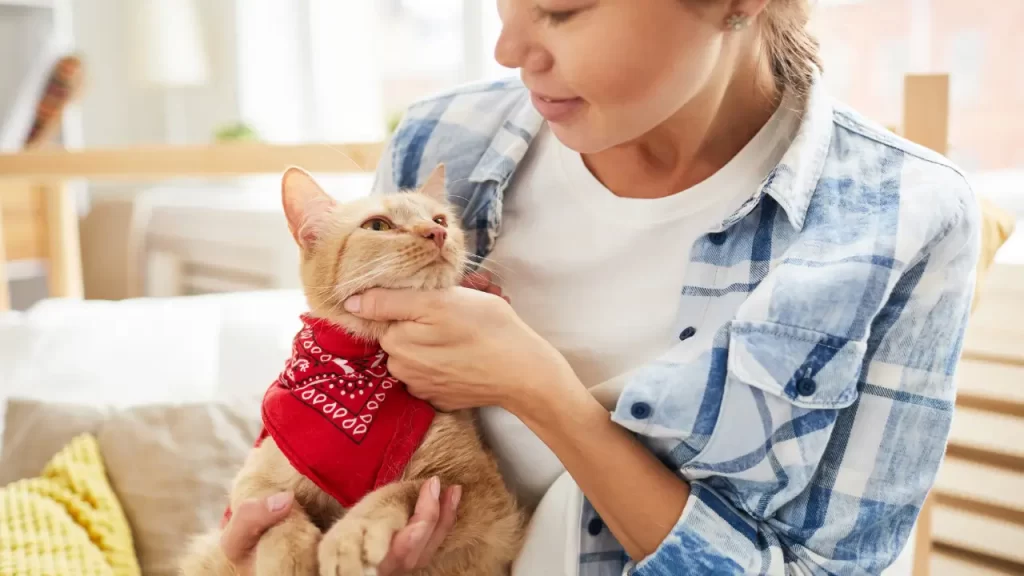 pets