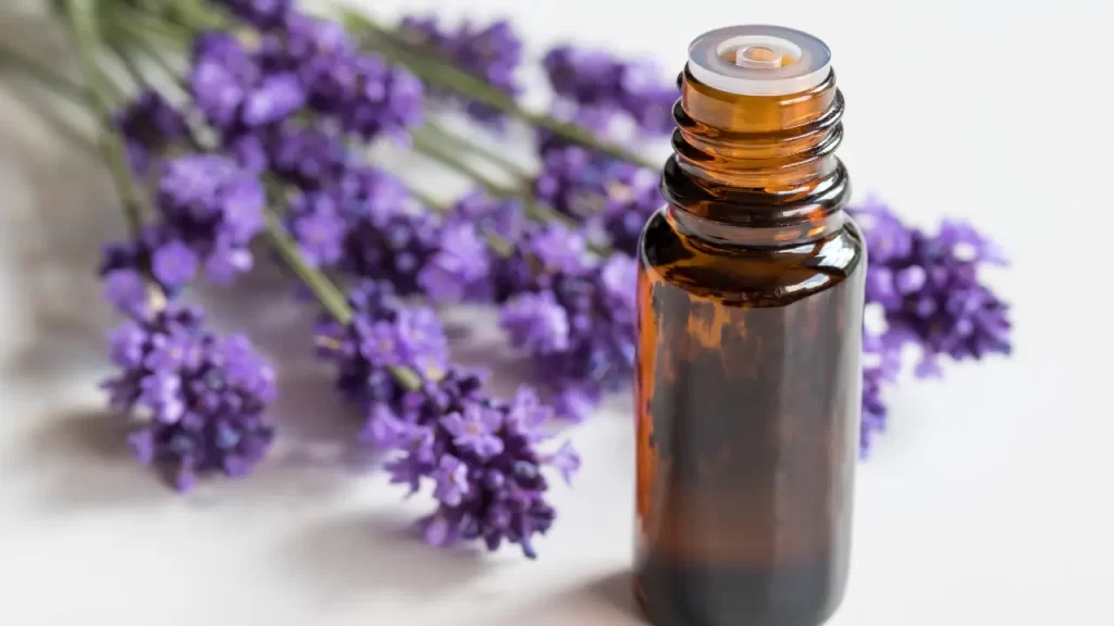 aromaterapia para pets