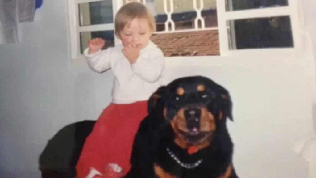 pets com câncer