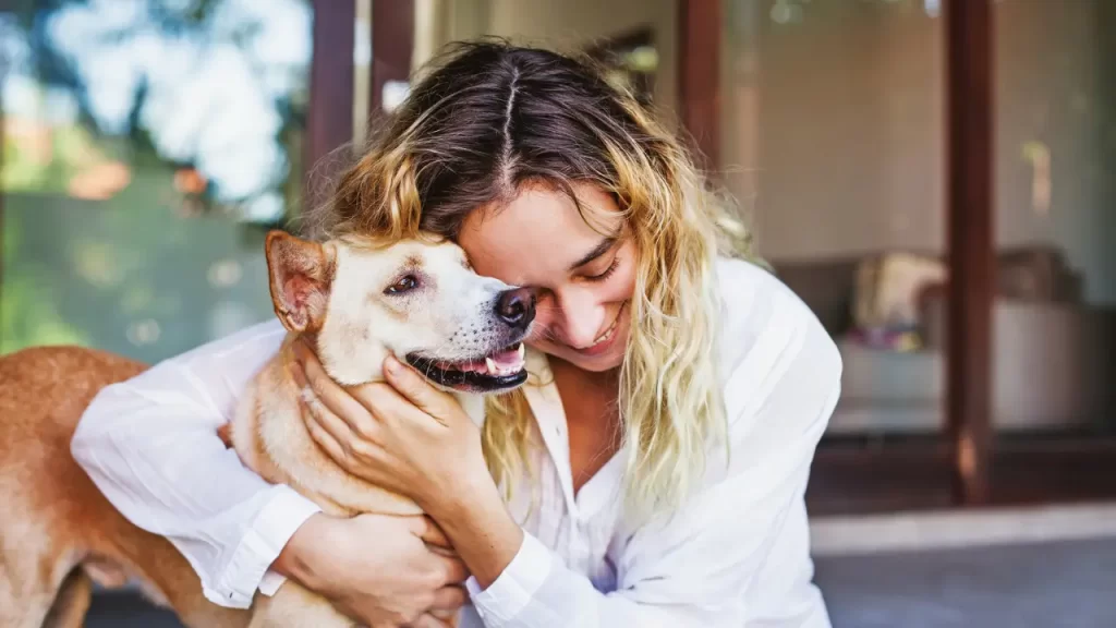 problemas comportamentais em pets