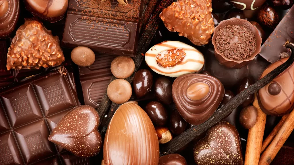 chocolate e pets